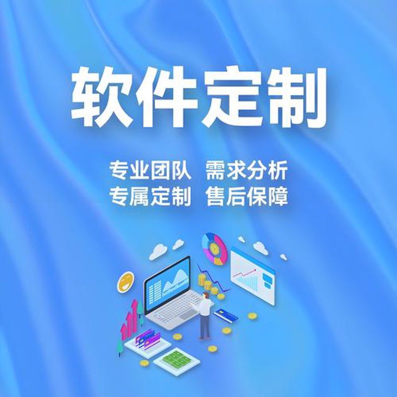 软件定制开发